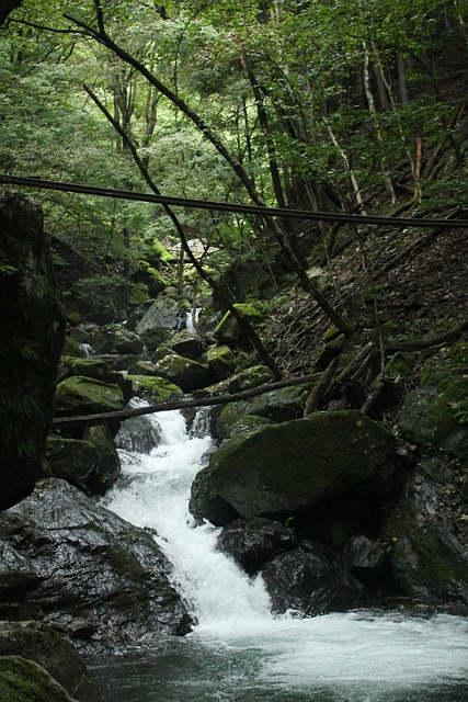 Free Mountain River photo and picture