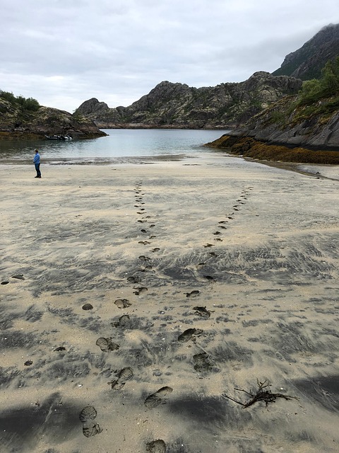 Shore, Hav, Sten, Norge, Lofoten