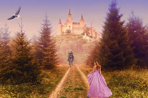 Free A Princess Knight illustration and picture