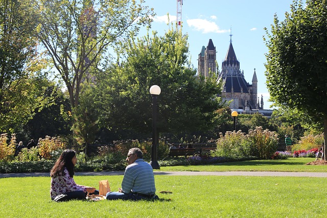 Weekend, Picnic, Familie, Elsker, Ottawa