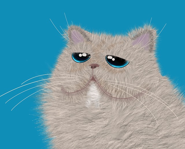 Free cat pet animal illustration