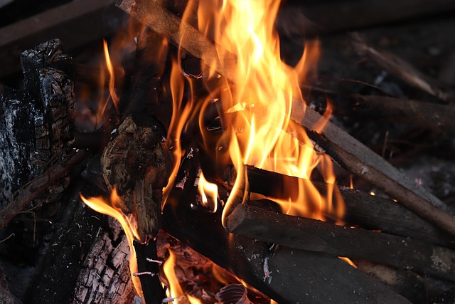 Free Fire Burn Down photo and picture