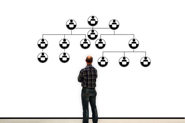 Organigramm, Besøgende, Information