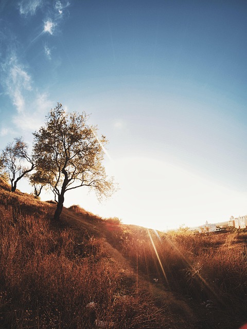Free Landscape Nature photo and picture
