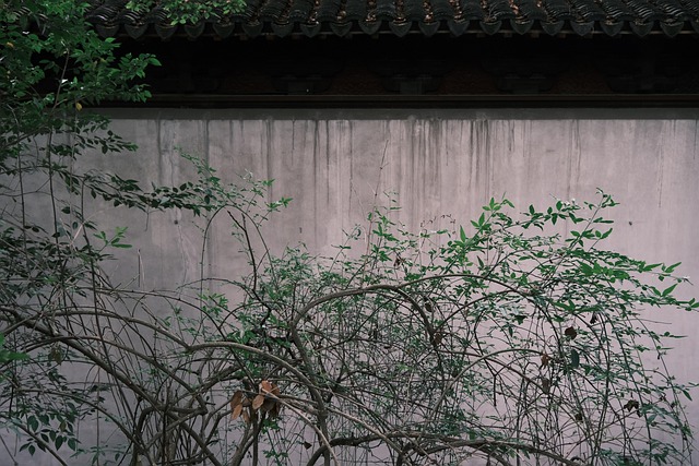 Free Wall Garden photo and picture