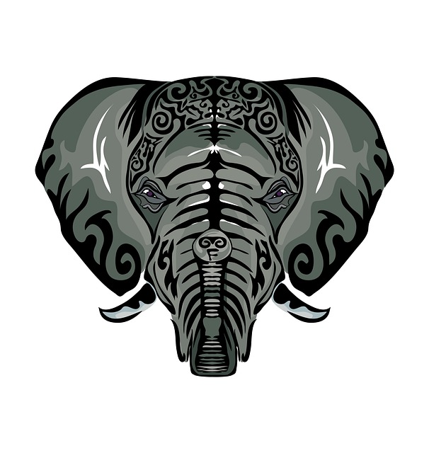 Elefant, Natur, Safari, Dyreliv, Afrika