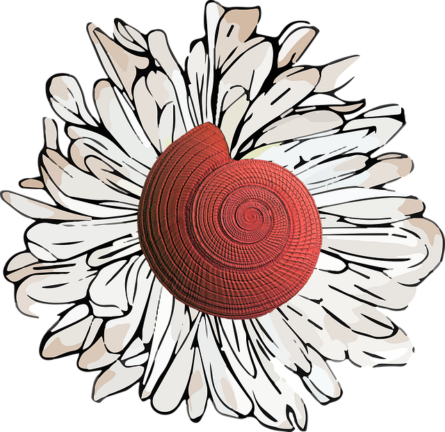 Free shell seashell flower illustration