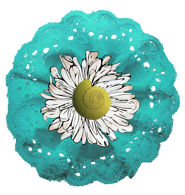 Free shell flower lace illustration