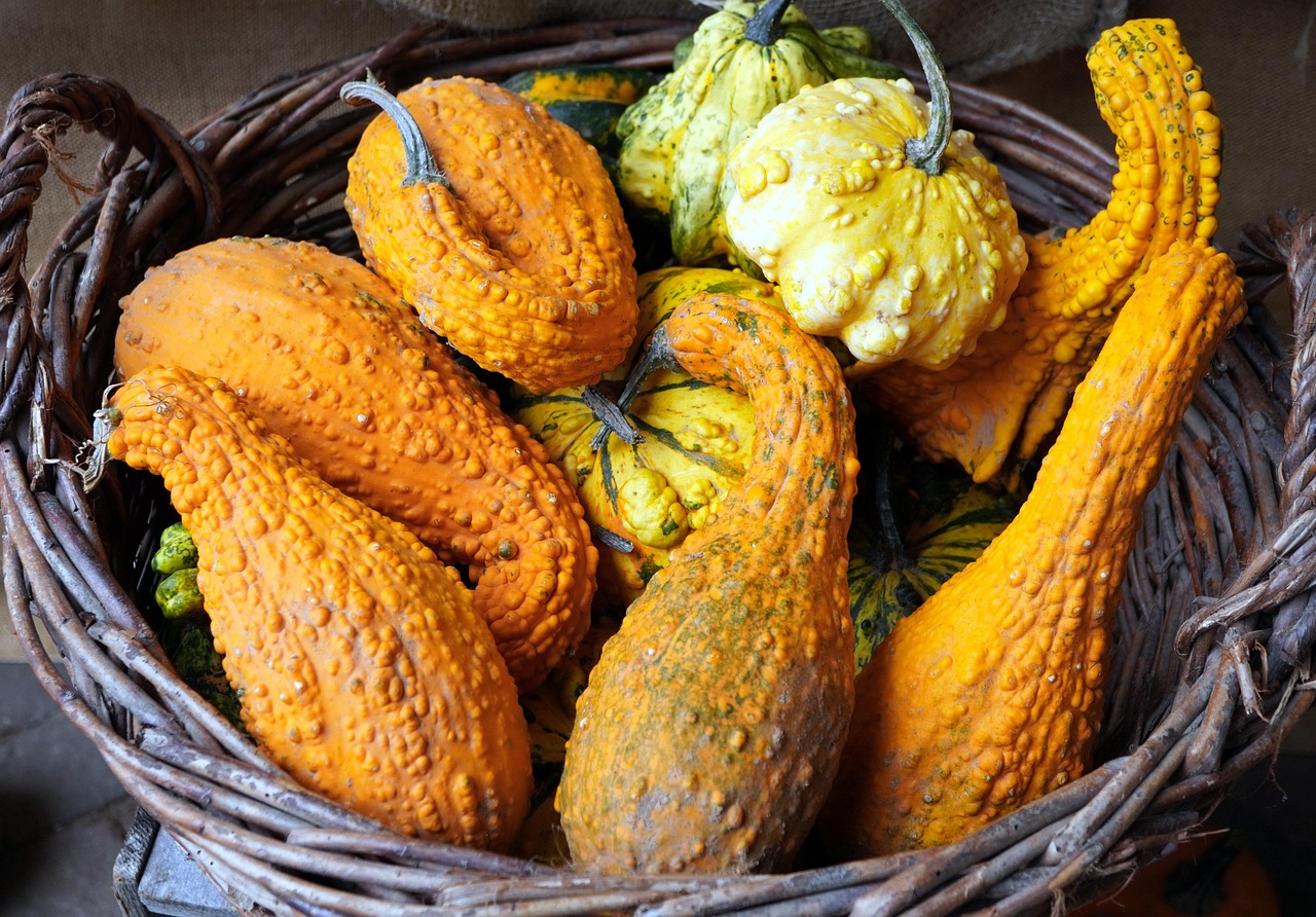 Basket - free online jigsaw puzzle photo