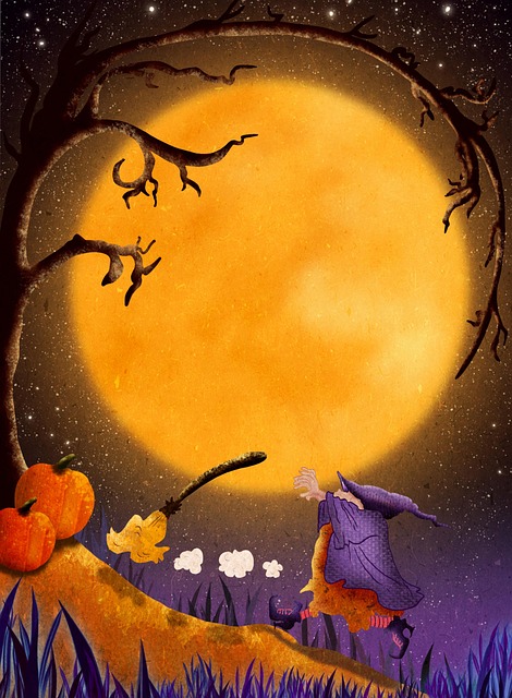 Free witch halloween broom illustration