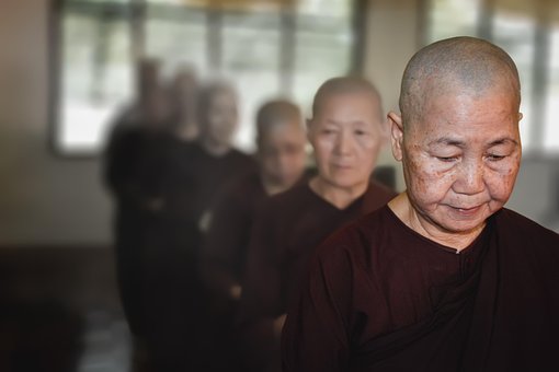 Free Buddhist Monks Monks photo and picture
