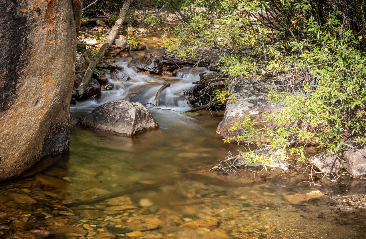 Stream - free online jigsaw puzzle photo