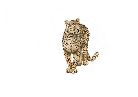 Free Jaguar Animal illustration and picture