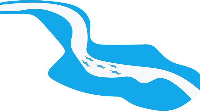 Free flag honduras country illustration
