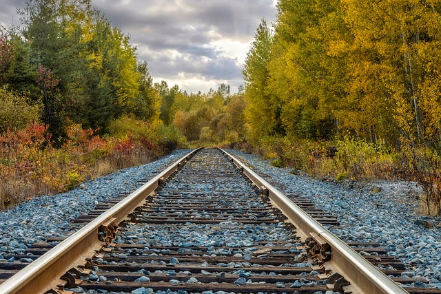 Free Autumn Crossing photo and picture