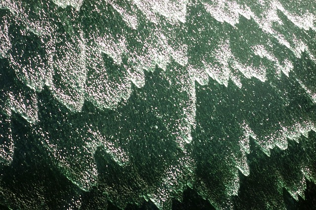 Free Water Wave photo and picture