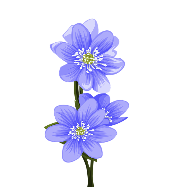 Blomster, Natur, Design, Ikon, Kunst