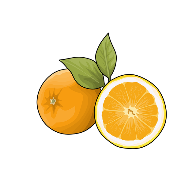 Orange, Design, Ikon, Citrus, Frugt