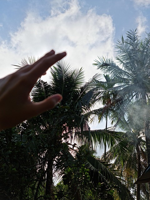 Free Nature Sky photo and picture