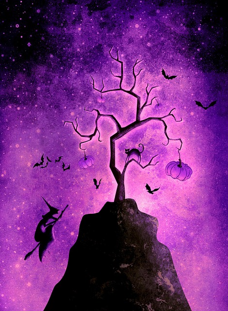 Download free HD stock image of Witch Halloween Free witch halloween spooky illustration