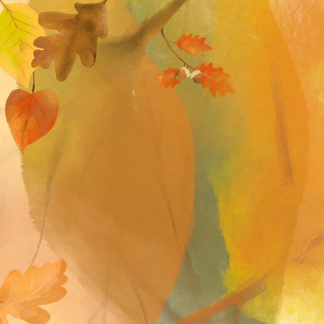 Free dry leaves foliage autumn illustration