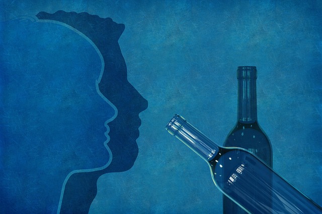 Sticle, Alcool, Om, Femeie, Siluetă