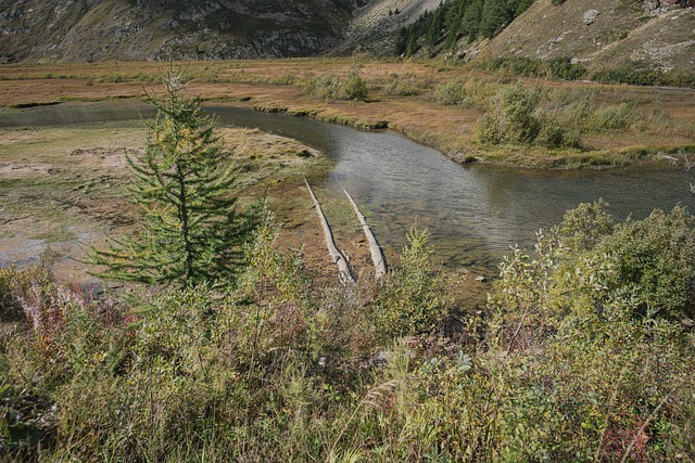 Príroda, Vrch, Rieka, Krajina, Stromy