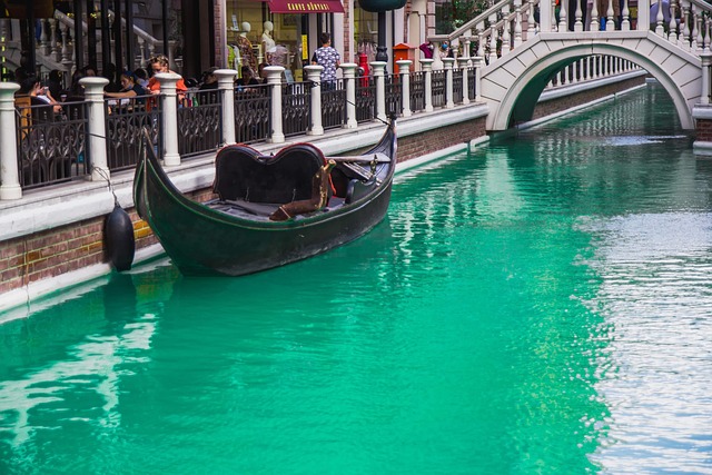 Free Mall Venice Grand Canal Attraction photo and picture