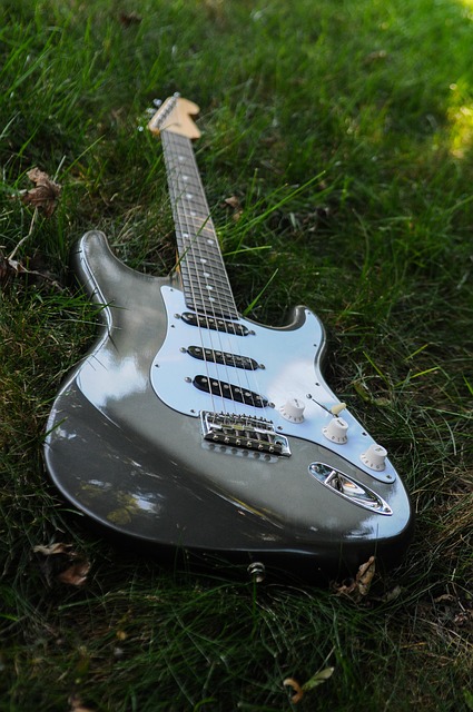 Free Electric Guitar Music photo and picture
