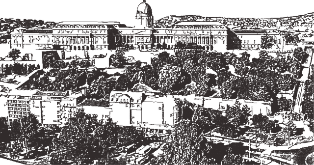 Free castle budapest hungary illustration