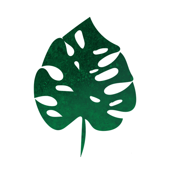 Monstruosa, Hoja, Follaje, Arte Boho