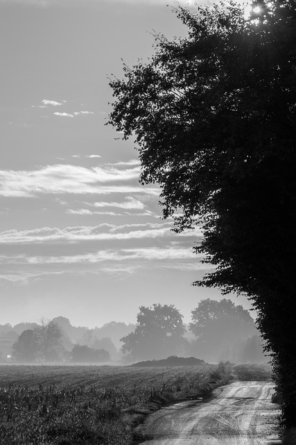 Free Road Field photo and picture