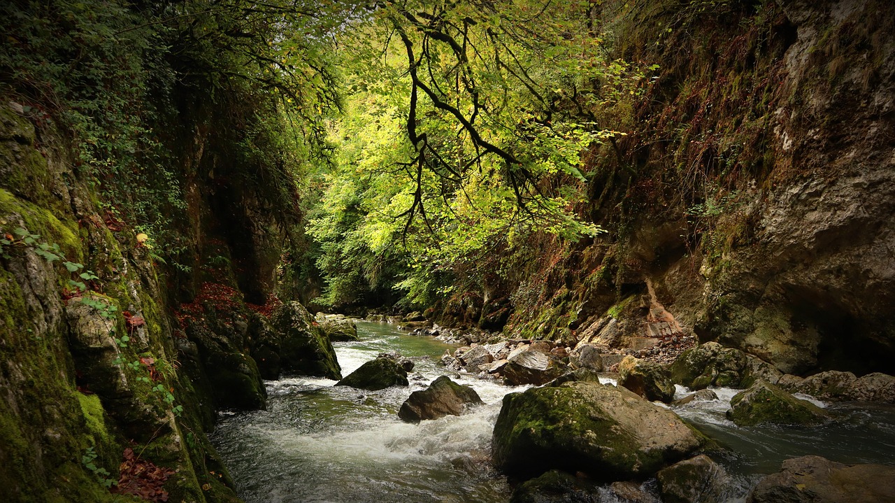 River - free online jigsaw puzzle photo