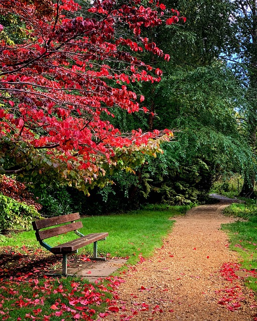 Download free HD stock image of Autumn Fall Free Autumn Fall photo and picture