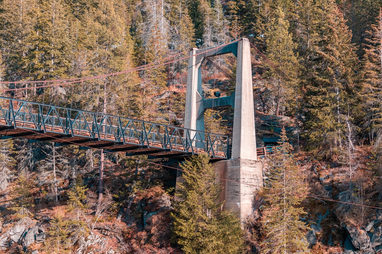 Bridge Architecture Forest - Free photo on Pixabay - Pixabay