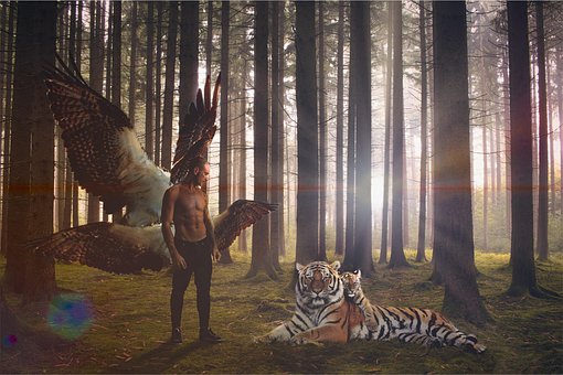 Free Wallpaper Fantasy photo and picture