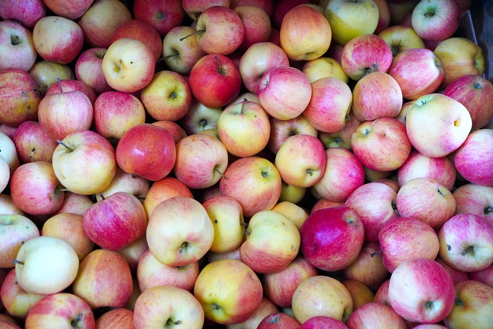 Apples Fruits Harvest Free photo on Pixabay