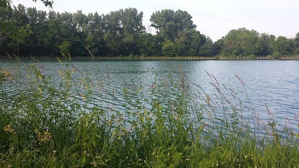 Natuur, Meer, Gras, Landschap, Bomen