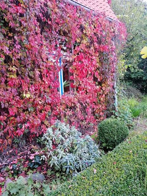 Free Farm Yard Fall photo and picture