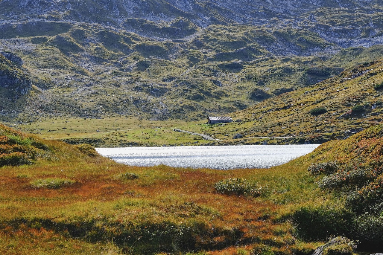 Lake - free online jigsaw puzzle photo