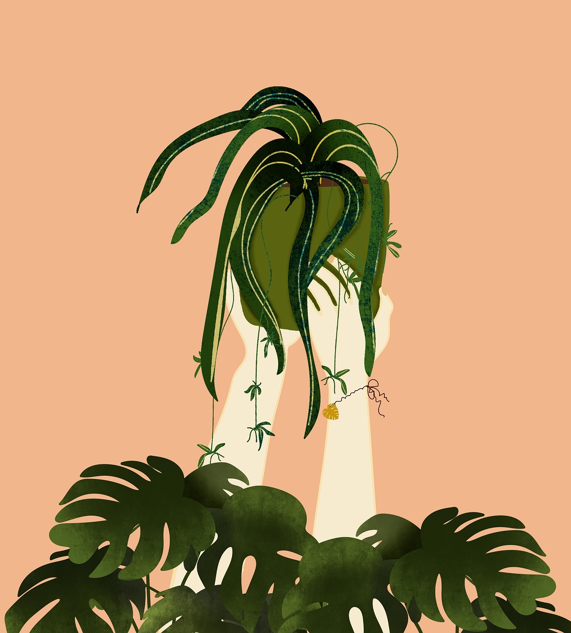 Download Monstera, Floral Background, Leaves. RoyaltyFree Stock