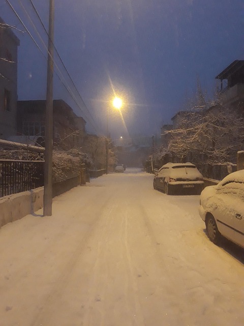 Free Street View photo and picture