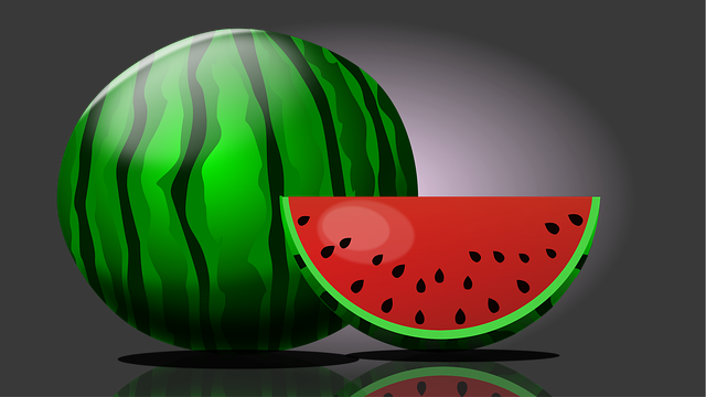 Free watermelon melon fruit vector