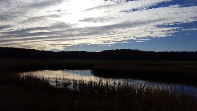 Free Salt Marsh Nature photo and picture