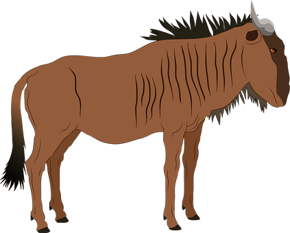 Gnus, Tier, Stier, Natur, Afrika, Safari