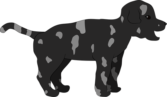 Hündchen, Niedlich, Hund, Tier, Haustier