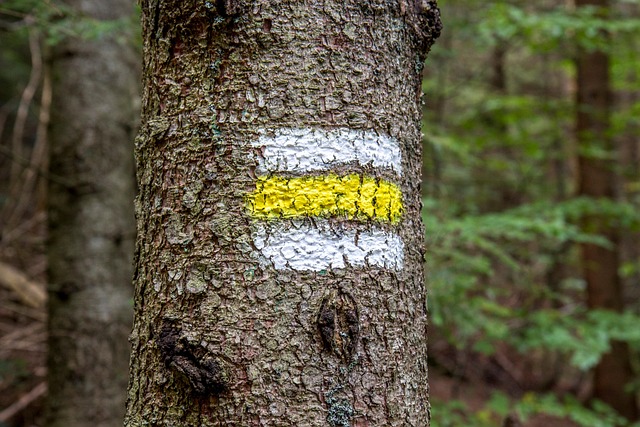 Free Brand Symbol photo and picture