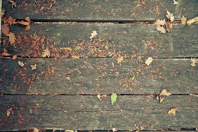 Herfst, Plank, Hout, Blad, Achtergrond