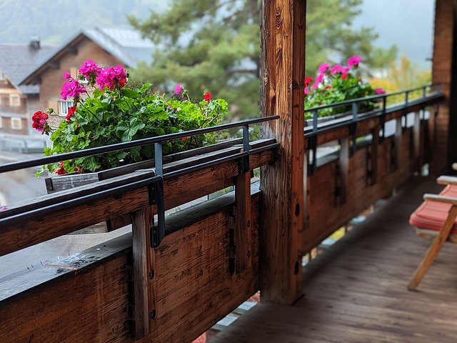 Free Balcony Plant photo and picture