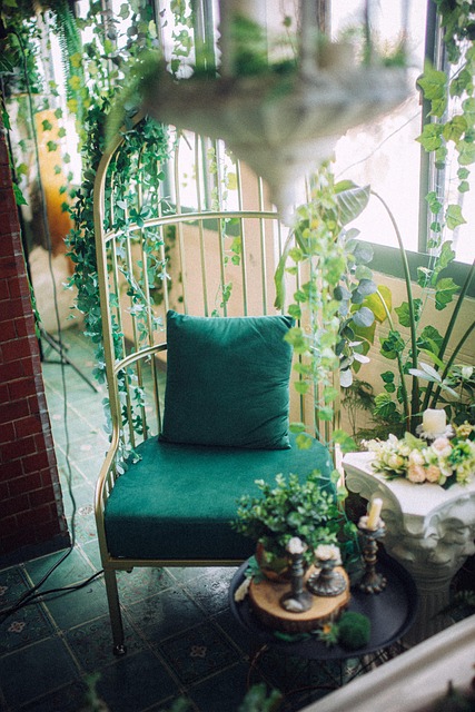 Free Plant Chair photo and picture